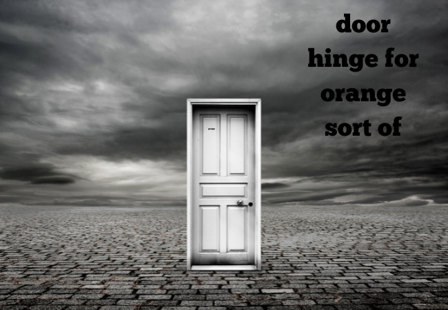 door hinge for orange sort of
